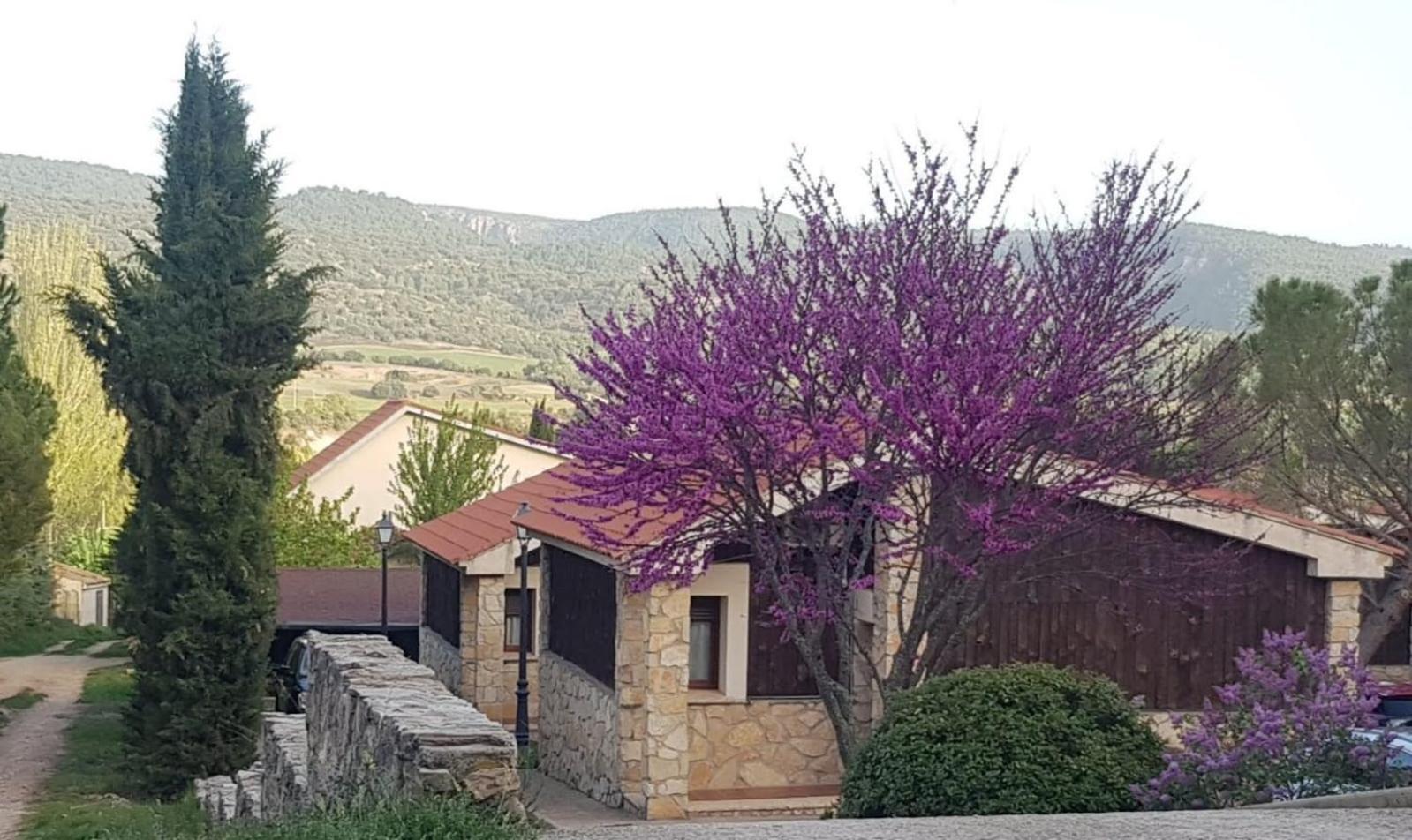 Aventura & Relax Cabanas Pena La Higuera Villalba de la Sierra Exterior photo
